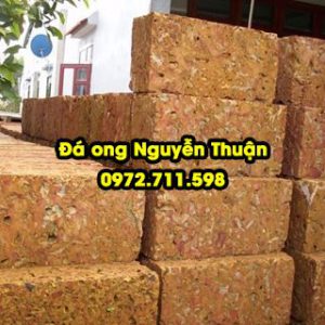 Đá ong thô uy tín tại Đá ong Nguyễn Thuận